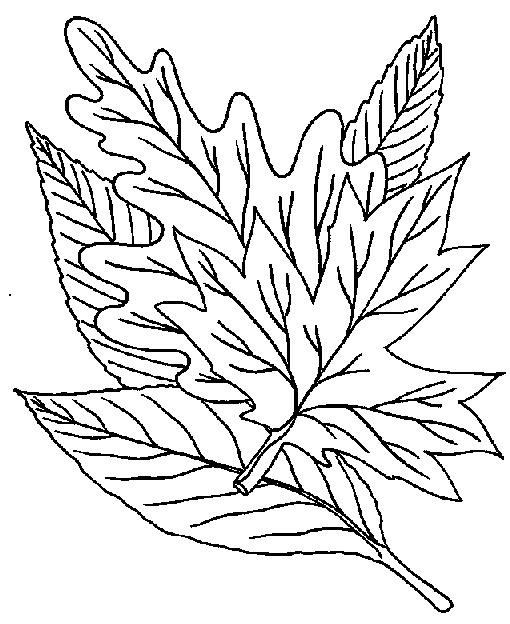 Plansa de colorat cu Toamna 5 126